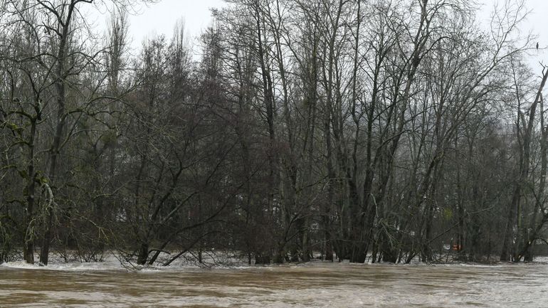 Intempéries: seule l'Ourthe inférieure reste en alerte de crue