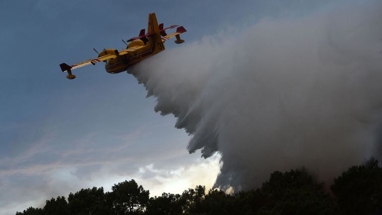 France : un incendie détruit près de 250 hectares de pins près de Bordeaux