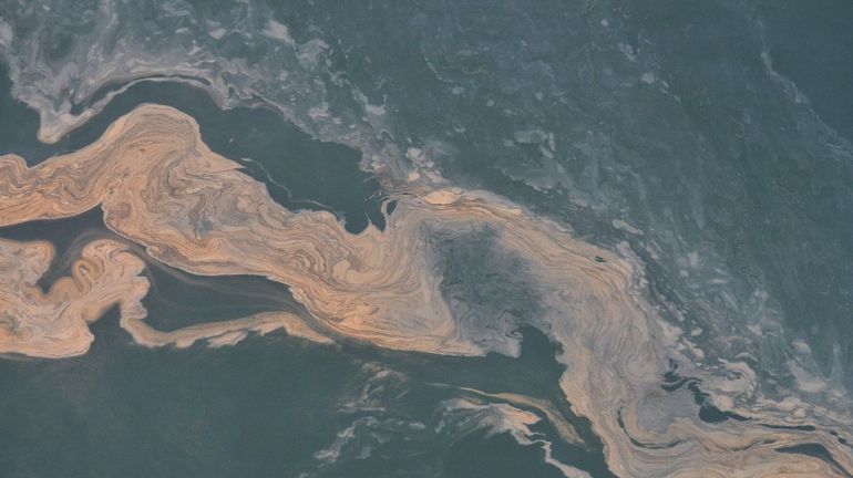 Côte belge : une tâche composée de plancton, énorme masse orange au large du littoral, interpelle les scientifiques