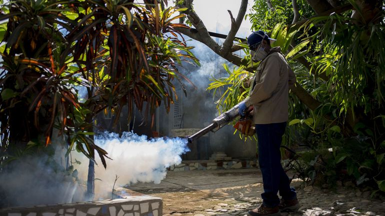 Dans certaines région du Venezuela, le paludisme est davantage craint que le covid