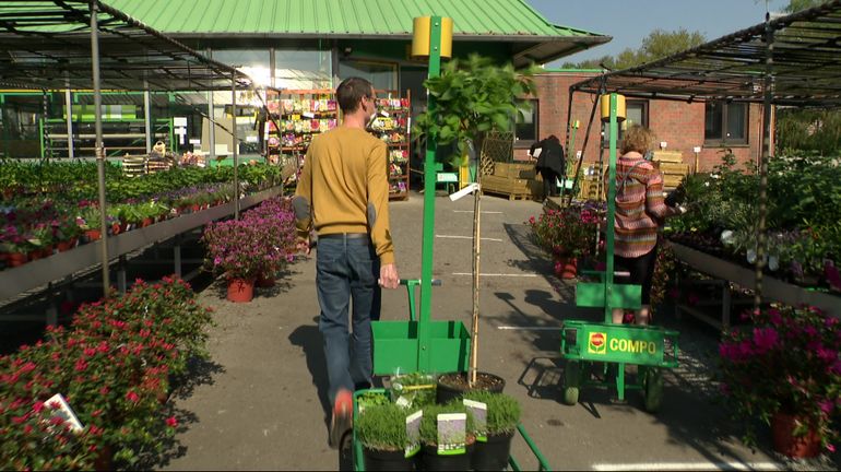 Quand les jardineries fonctionnent en mode covid-19