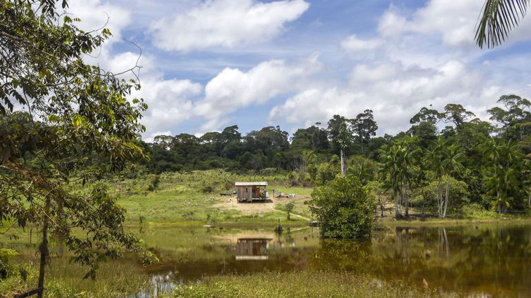 Brésil: Bolsonaro confie les terres indigènes au ministère de l'Agriculture