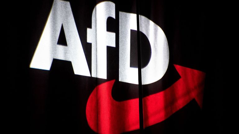 Allemagne : les dirigeants de l'Afd appellent l'aile radicale du parti à se dissoudre
