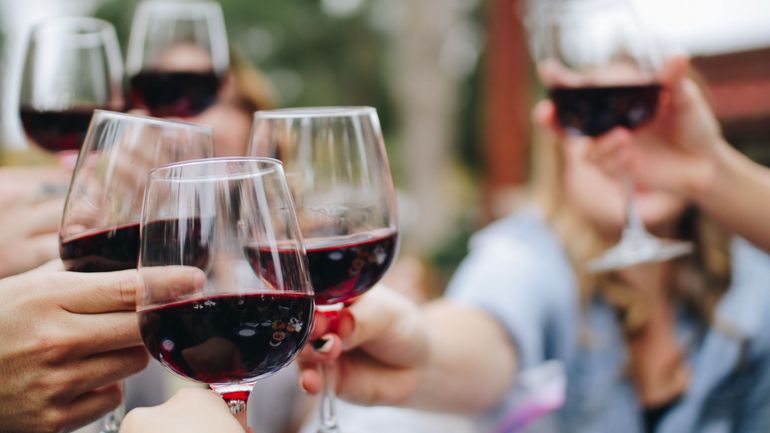 Bientôt du vin flamand sur toutes les tables ? Le réchauffement climatique favorise l'essor des vignobles en Belgique
