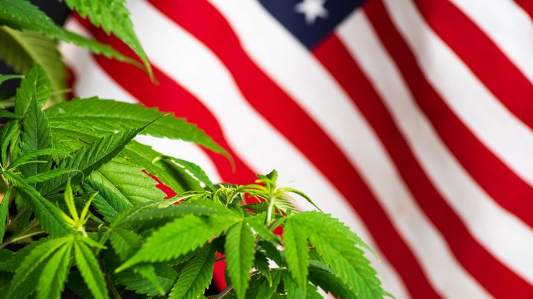 Une loi historique sur la dépénalisation du cannabis avance au Congrès américain