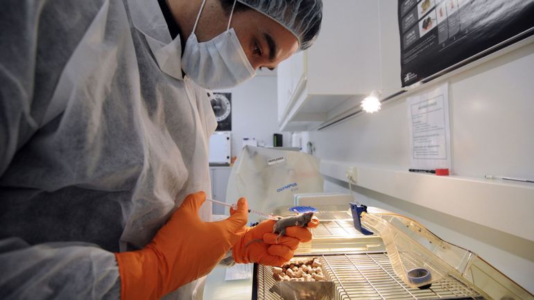 La Wallonie lance une opération de dépistage gratuit du cancer du col de l'utérus