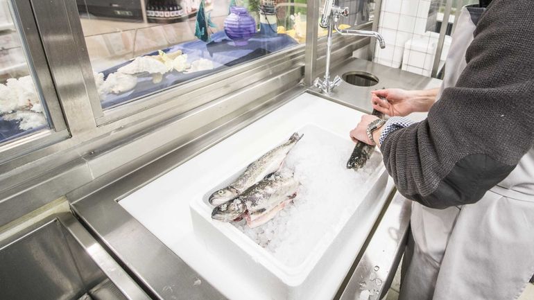 Coronavirus : le prix du poisson baisse, les pêcheurs flamands en difficulté