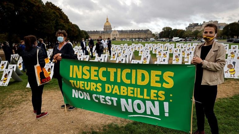 France : l'Assemblée donne son feu vert pour le retour des néonicotinoïdes