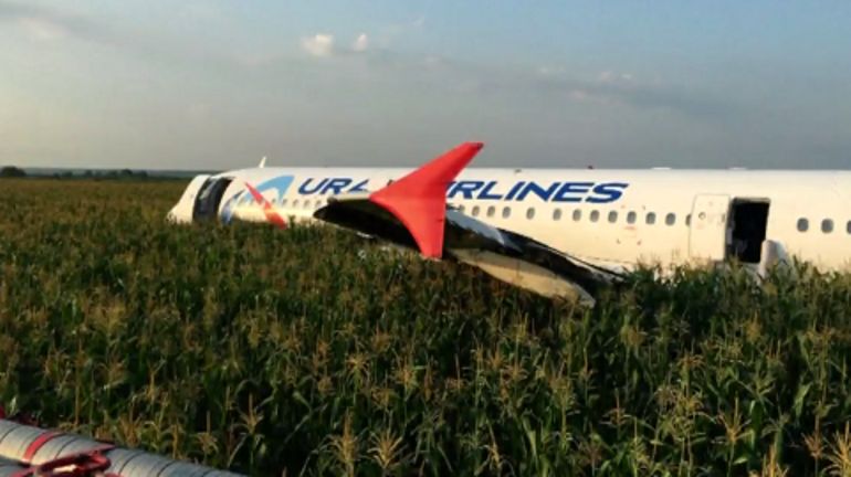 Russie: un Airbus atterrit d'urgence sur un champ de maïs