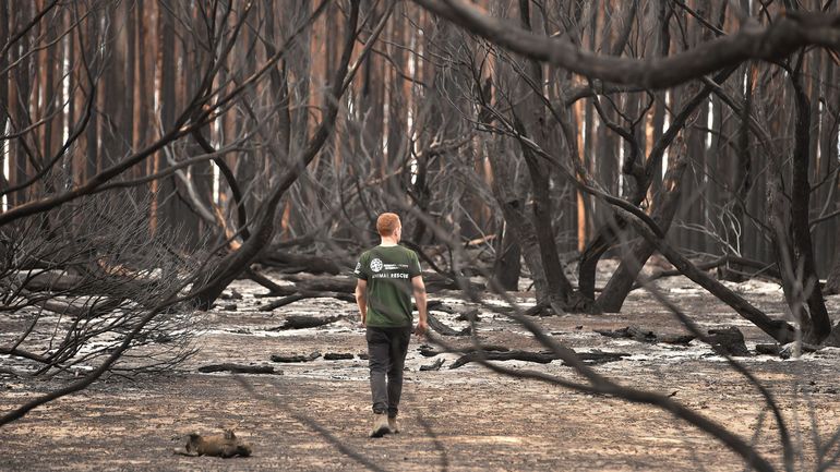 Incendies en Australie - Le secteur du tourisme va perdre des milliards de dollars