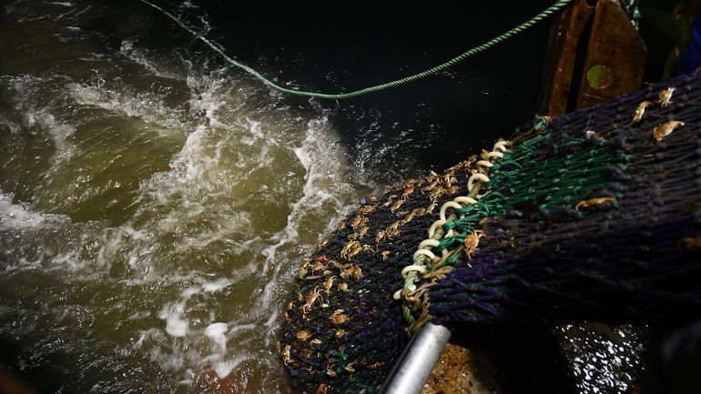 Brexit: un chalutier irlandais empêché de pêcher au large de l'Écosse