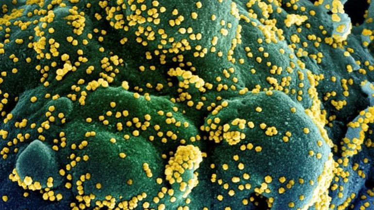 Coronavirus : des centaines d'enfants américains infectés en colonie de vacances