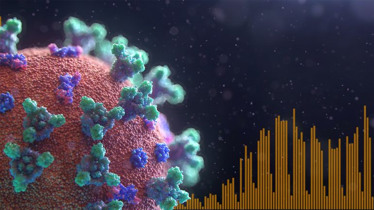 L'évolution en temps réel de l'épidémie de coronavirus en Belgique en chiffres et graphiques