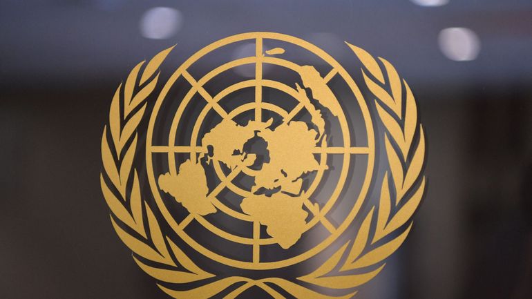 Conflit israélo-palestinien : les Etats-Unis empêchent une réunion vendredi du Conseil de sécurité de l'ONU