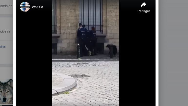 Plainte de la compagne d'Arno contre la police en marge de la manifestation contre le racisme