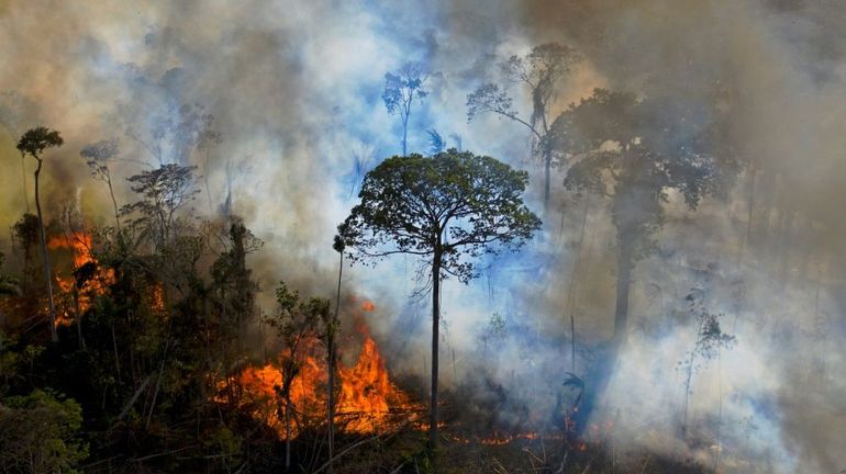 Brésil : les incendies de forêt sont au plus haut depuis dix ans