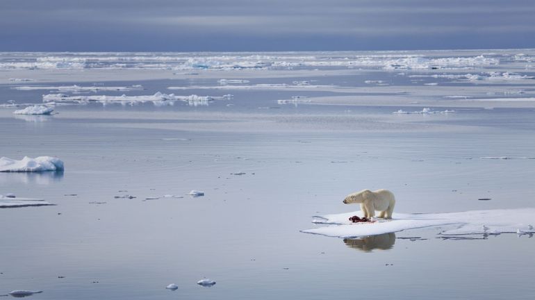 Plusieurs tonnes de déchets nucléaires russes à nouveau déversés dans l'Arctique