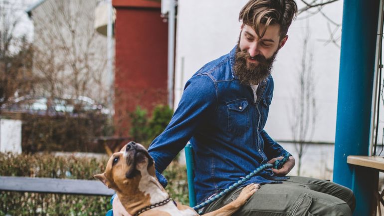 Le kit indispensable pour la sortie avec le chien