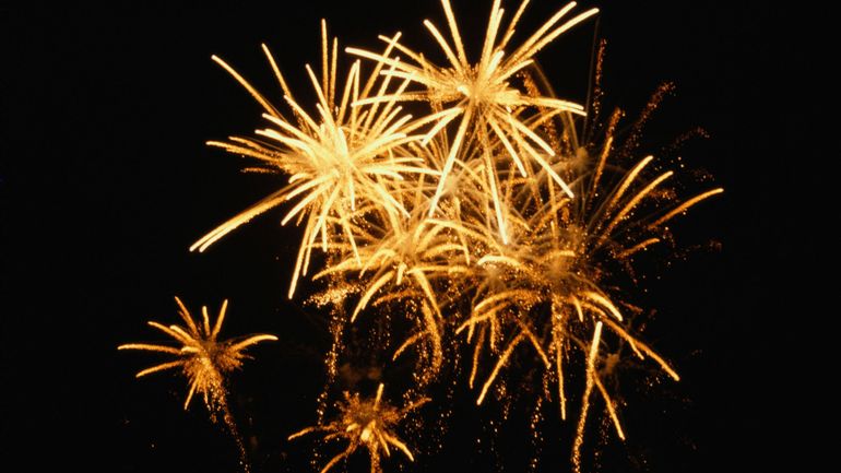 Coronavirus en Belgique : Gaia salue l'interdiction nationale des feux d'artifice