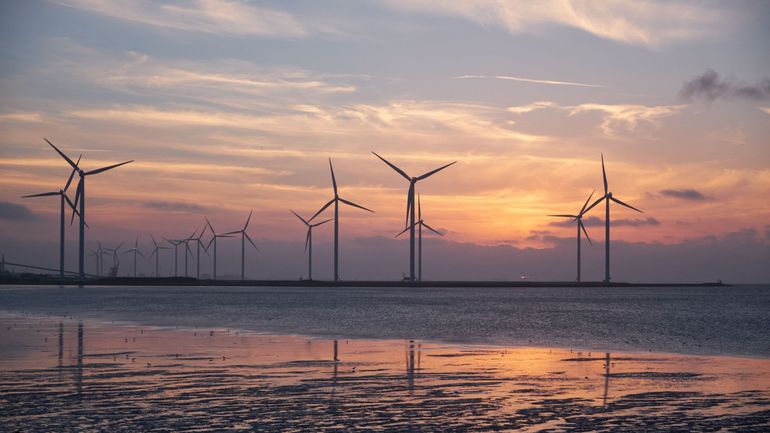 A Dunkerque, un projet de parc éolien proche des eaux belges crée des crispations