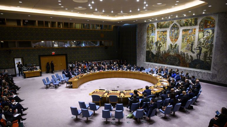 Conseil de sécurité de l'ONU: les 5 membres européens demandent l'arrêt de l'offensive turque
