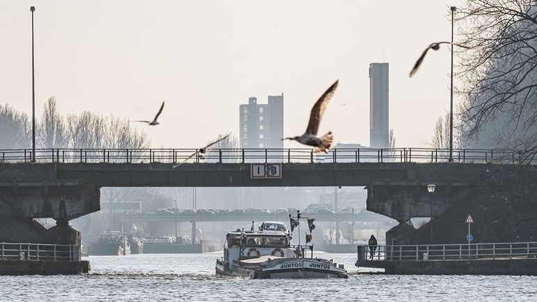 Le trafic du port de Bruxelles impacté par la crise du coronavirus