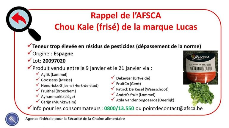 Excès de pesticides, l'AFSCA rappelle le chou Kale de la marque Lucas