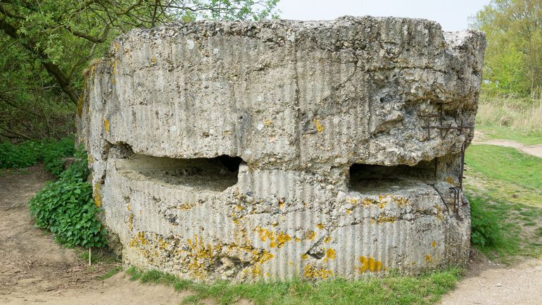 Les bunkers de la 2e guerre mondiale attirent 5000 personnes en Flandre occidentale