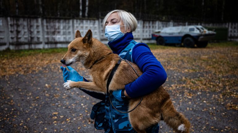 Russie : des 