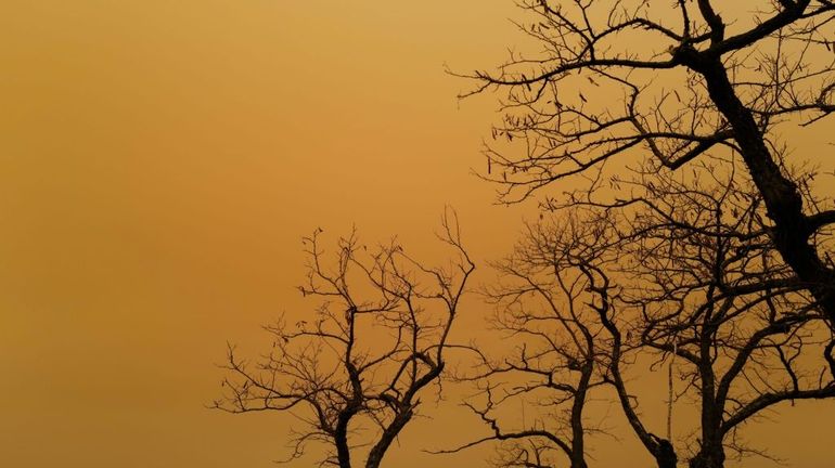 France : ambiance apocalyptique dans le Sud et l'Est, avec un ciel teinté de jaune par le sable venu du Sahara