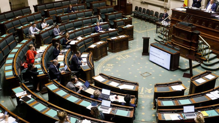 Dépénalisation de l'avortement : les partisans du texte déposeront une motion pour l'inscrire à l'ordre du jour