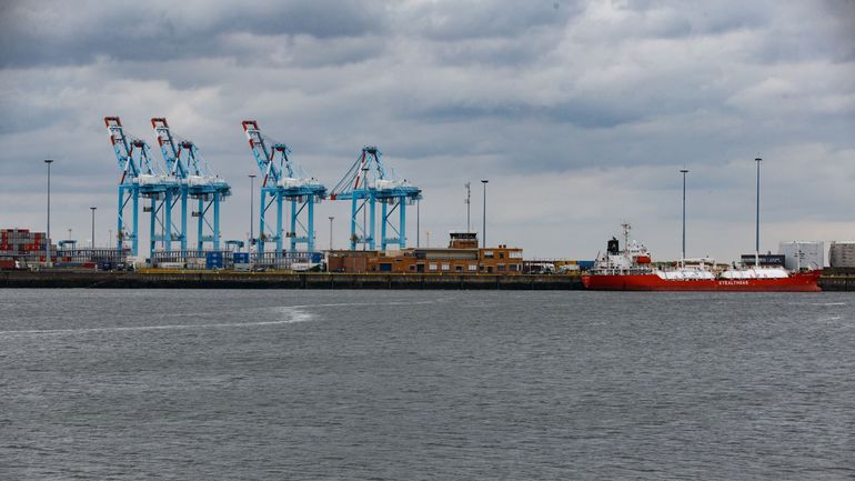 La douane mène des actions de zèle dans le port de Zeebruges