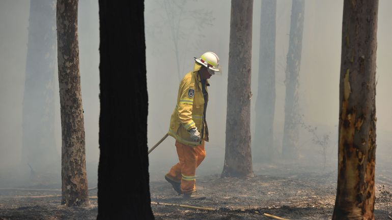 Australie: au bout de dix semaines, l'incendie géant de Gospers Moutain enfin sous contrôle