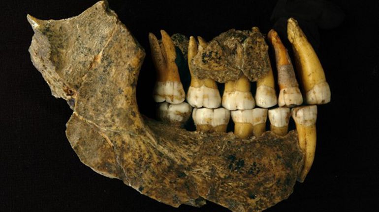 Les Néandertaliens de Belgique sont plus vieux que ce que l'on pensait