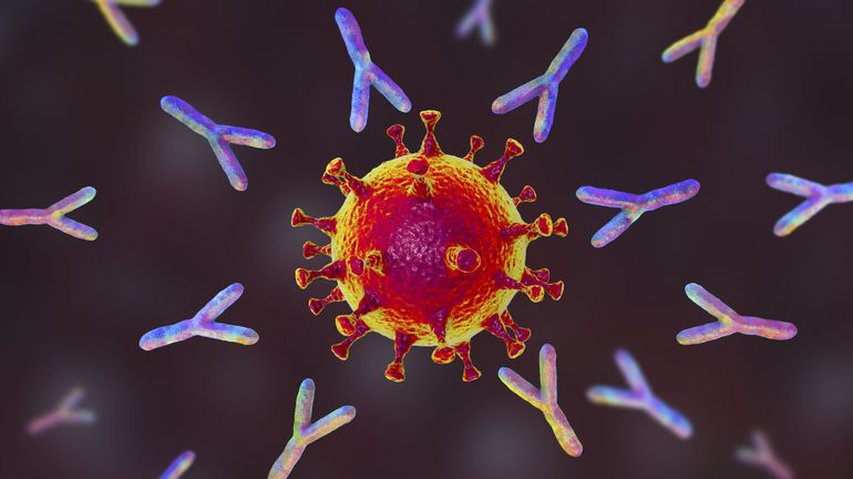 Coronavirus en Belgique: les anticorps augmentent dans tous les groupes de la population, même chez les non-vaccinés