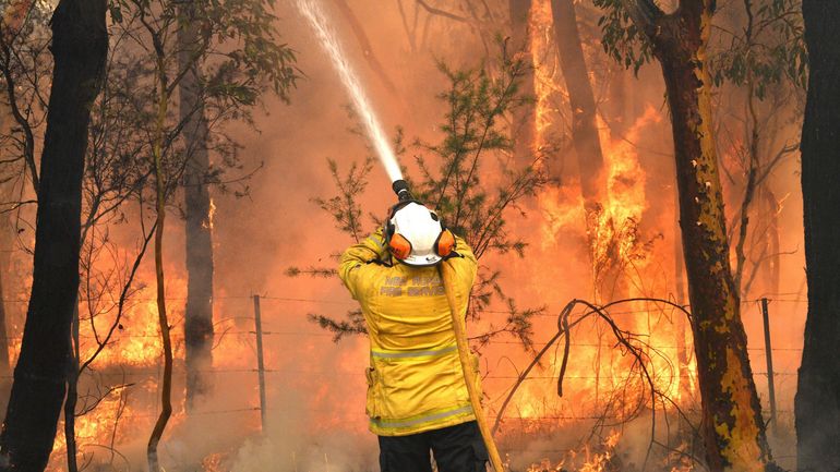 Australie : un bilan entre impuissance et espoirs face aux incendies