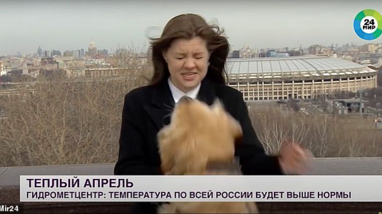 Un chien dérobe le micro d'une présentatrice météo russe en plein direct (vidéo)