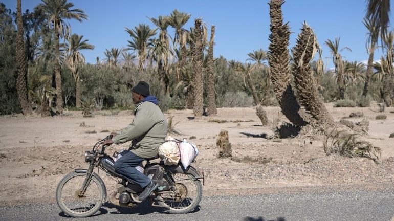 Dans le sud du Maroc, des oasis ancestrales sont menacées d'extinction