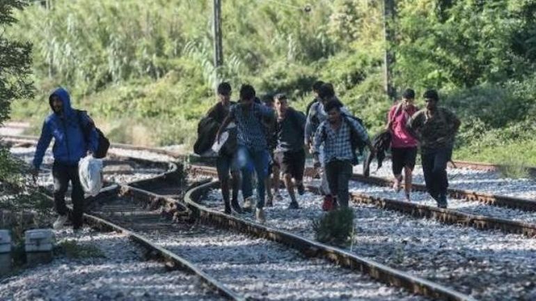 Grèce : un réseau de trafic de migrants démantelé