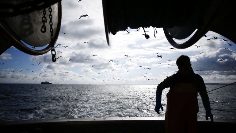 Brexit : le Royaume-Uni va délivrer 1500 autorisations provisoires aux pêcheurs européens