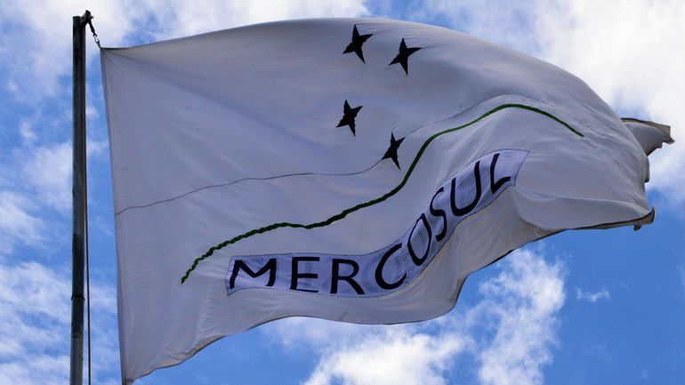 Signé il y a deux ans, le traité de libre-échange entre l'Union européenne et le Mercosur coince dans la dernière ligne droite
