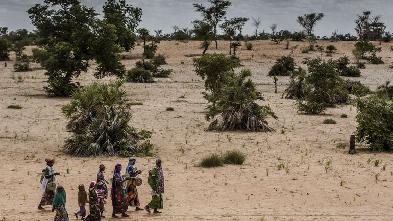 Crise climatique: une décennie record, 