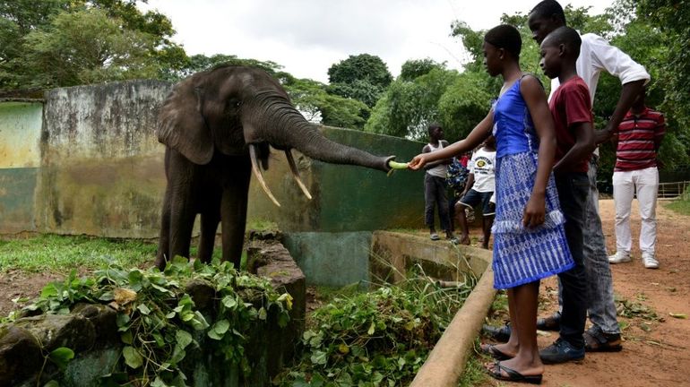 Hyène échappée, animaux mal nourris : fermeture du zoo d'Abidjan