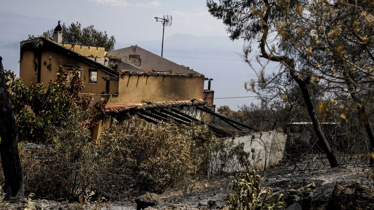 Grèce : l'incendie de Geraneia, 