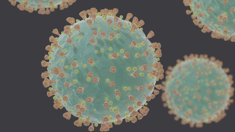 Coronavirus en Belgique: des modèles mathématiques pour aider les décideurs