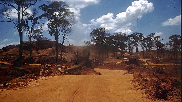 Déforestation et Covid 19 en Amazonie : Bolsonaro accusé de crimes contre l'humanité