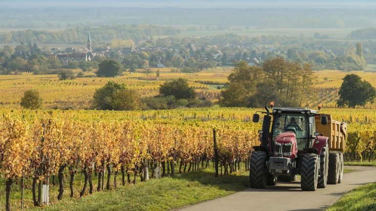Réforme du bail à ferme en Wallonie : 500.000 hectares de terres agricoles concernées