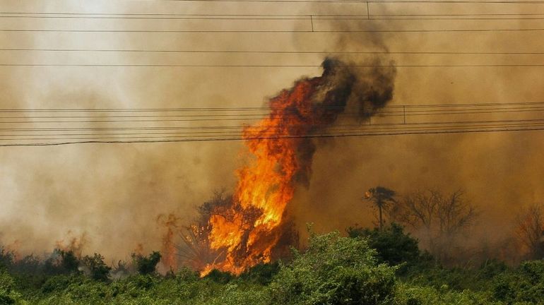 Brésil : trois fois plus d'incendies cette année au sud de l'Amazonie