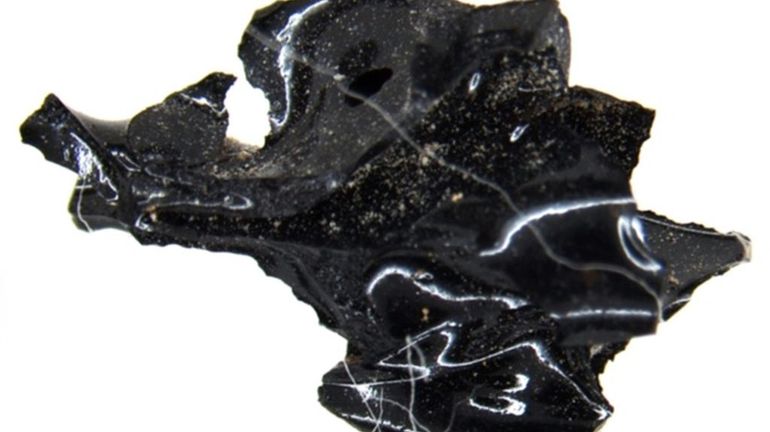 Un morceau de cerveau vitrifié retrouvé dans les ruines d'Herculanum, détruite par le Vésuve