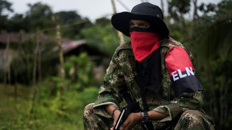 Colombie : un chef de la guérilla tué dans une opération de l'armée